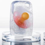 egg freezing 2